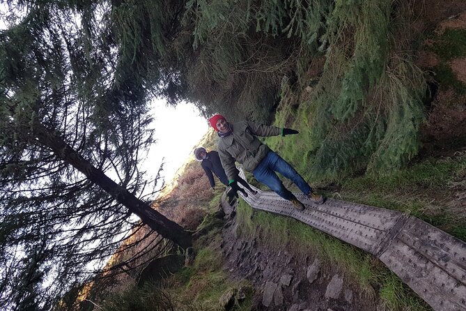 Trek the Tombs and Trails in the Dublin Mountains - Tibradden and the High View over Dublin Bay