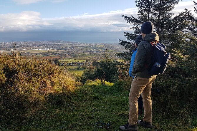 Trek the Tombs and Trails in the Dublin Mountains - Wild Berries Along the Ridge