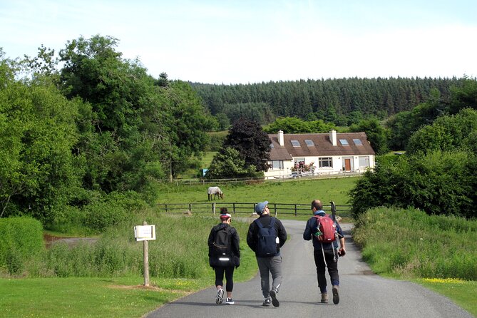 Trek the Tombs and Trails in the Dublin Mountains - From the Ridge Toward Wicklow