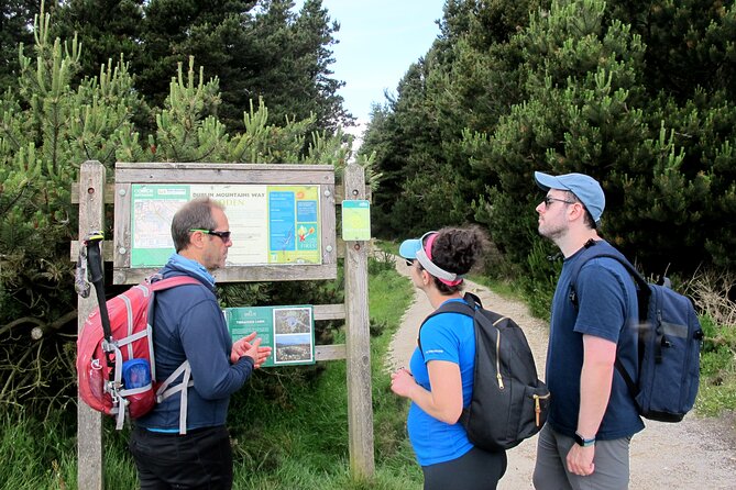 Trek the Tombs and Trails in the Dublin Mountains - Forest Paths, Back Roads, and a Local Lunch
