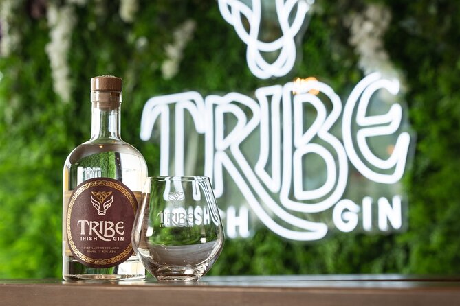 Tribe Gin School Experience in Galway - The opening: gin, Galway, and the story behind Tribe