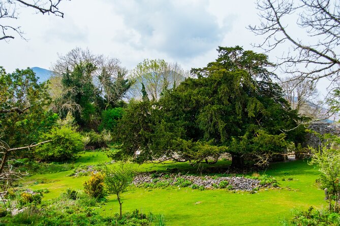 Visit Innisfallen Island - The Augustinian priory and Romanesque church