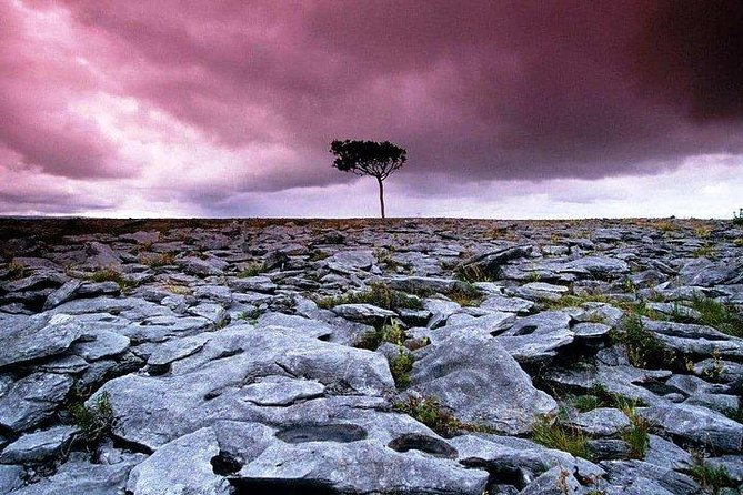 Walking in the Burren with perfumery visit. Clare. Guided 3 hours - Key points to know before booking