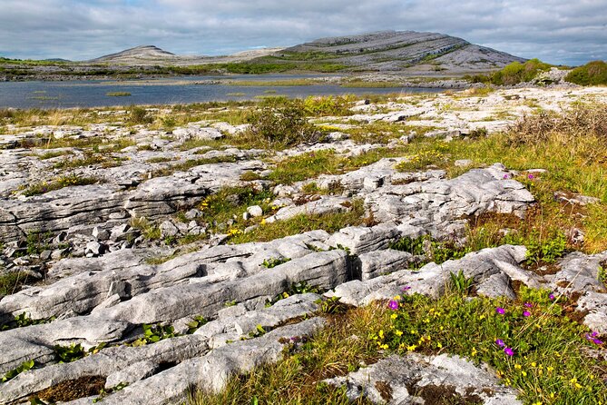 Walking in the Burren with perfumery visit. Clare. Guided 3 hours - Who will enjoy this private outing?