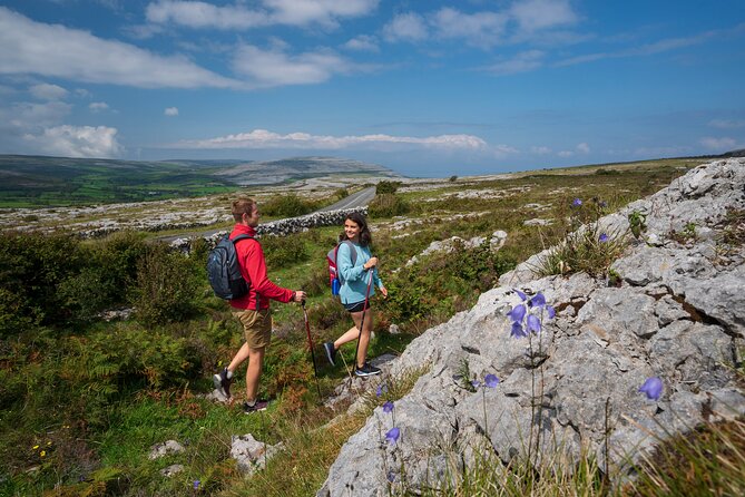 Walking in the Burren with perfumery visit. Clare. Guided 3 hours - Walking through the Burren, with realistic expectations