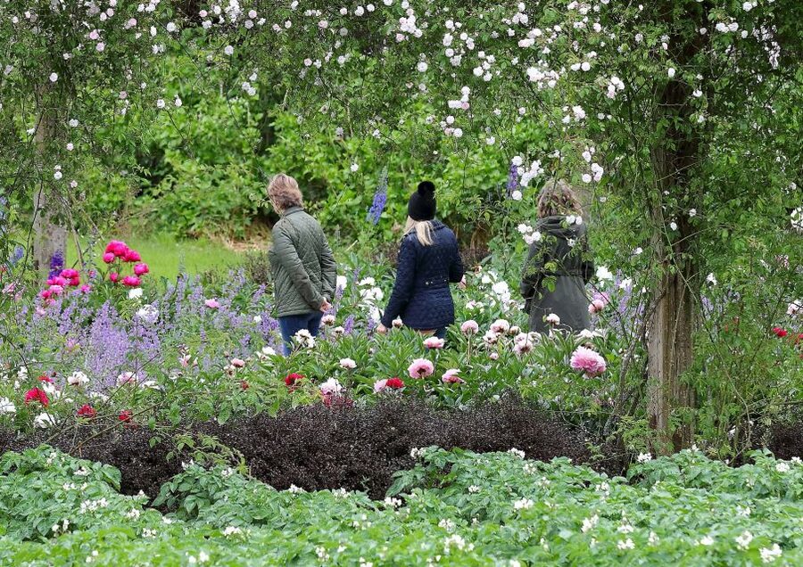 Waterford: Mount Congreve Gardens Entry Ticket - Taking a break at the Stables Café