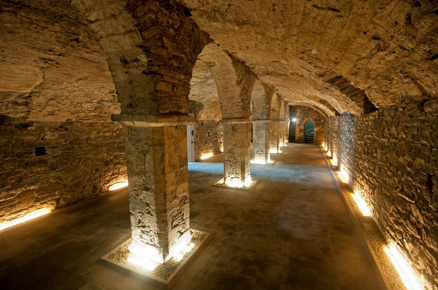 Waterford Treasures: Medieval Museum Entry Ticket - Starting beneath modern Waterford