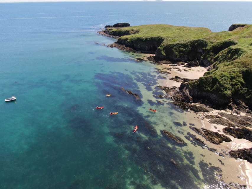 Wexford: Hook Peninsula Sea Cave Kayaking Experience - Wildlife, from seals to sea birds