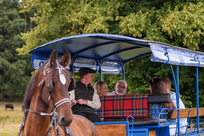 Whiskey & Wonders in Killarney - Five things to know before booking