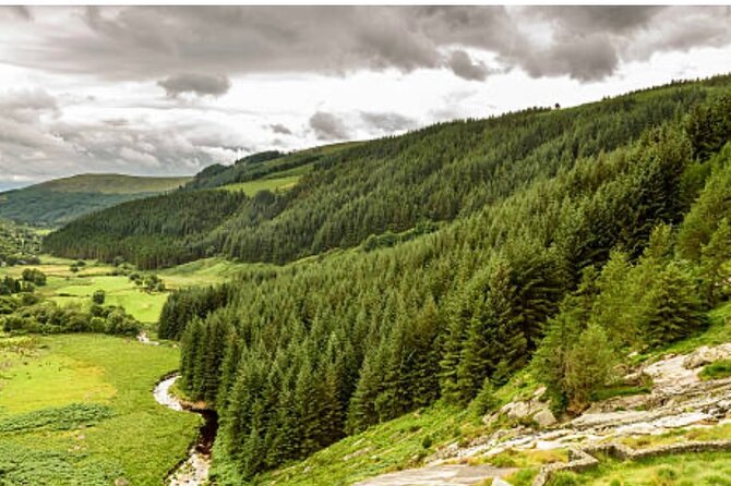 Wicklow and Glendalough Private Chauffeured Sightseeing Tour - Timing, food, and practical details