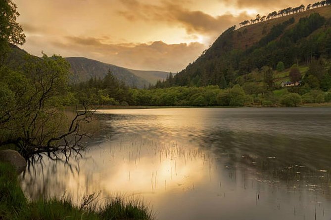 Wicklow Mountains & Glendalough Luxury Private Day Tour - Powerscourt House and Gardens: one hour of polish