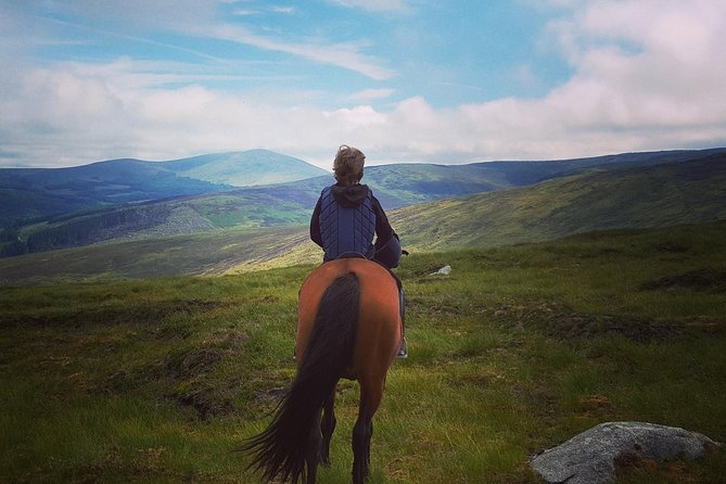 Wicklow Mountains Horse Trekking - Why This Ride Is Worth Your Time