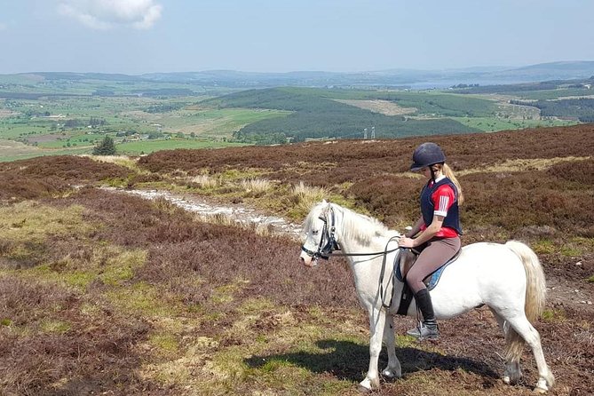 Wicklow Mountains Horse Trekking - How Different Riding Levels Fit Together