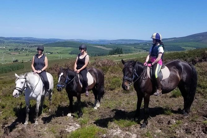 Wicklow Mountains Horse Trekking - The Horses Are Part of the Appeal