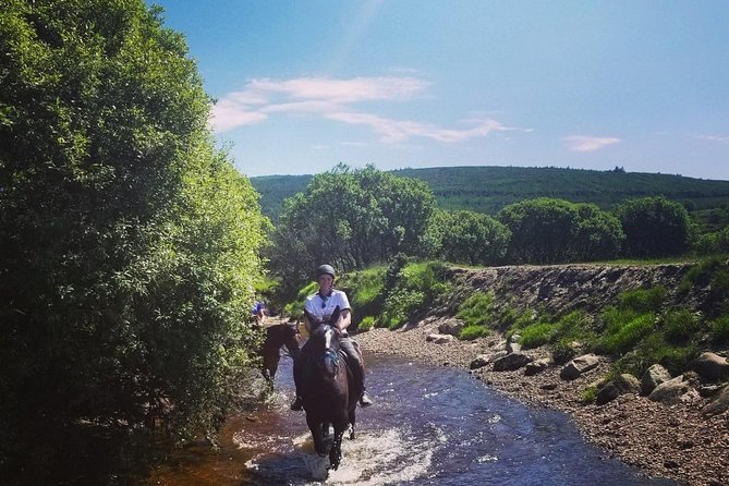Wicklow Mountains Horse Trekking - Ray, Lisa, Nicole, and Jack