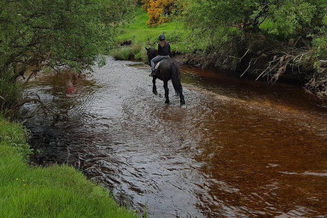 Wicklow Mountains Horse Trekking - The Short Lesson Before You Ride Out