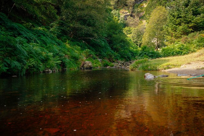 Wicklow Mountains Private Day Trip from Dublin - Powerscourt Waterfall and the extra entry cost