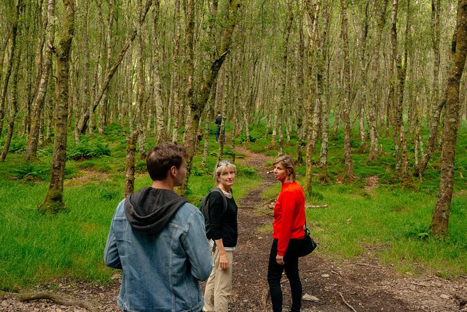 Wicklow Mountains Private Day Trip from Dublin - The value of a $52 private tour