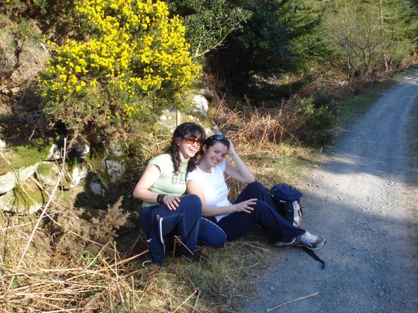 Wicklow: Private Day Tour from Dublin - Driving through Wicklow Mountains National Park
