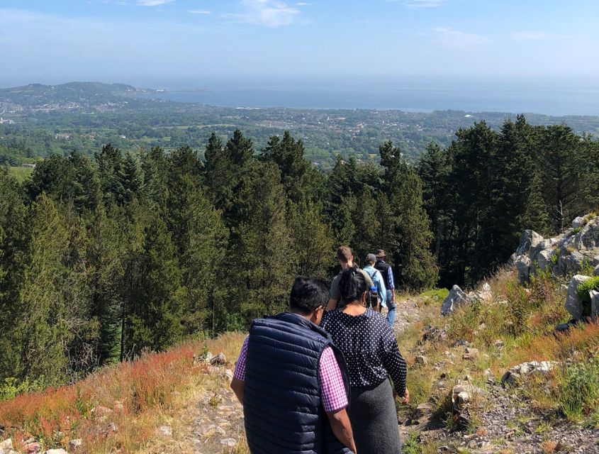 Wicklow: Private Day Tour from Dublin - Lunch at a rural Irish pub