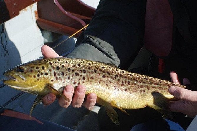 Wild Brown Trout fishing. Lough Corrib. French speaking Ghillie/Guide. Full day. - When to go: February through September