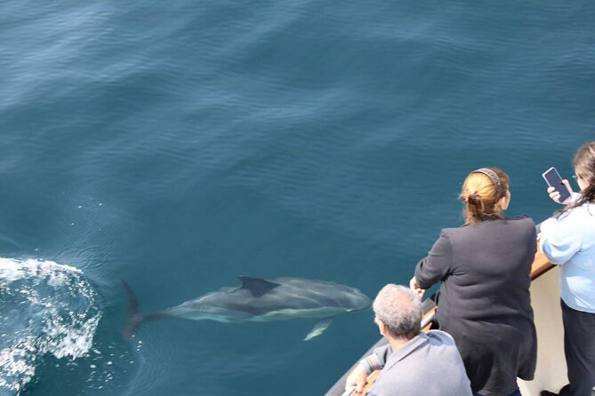 Wildlife Tour - A search rather than a scripted sightseeing ride